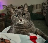 Grace Lynn    Vereecken